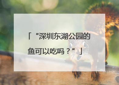 “深圳东湖公园的鱼可以吃吗？”