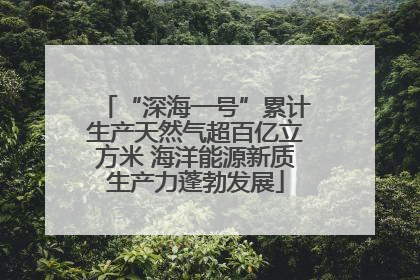 “深海一号”累计生产天然气超百亿立方米 海洋能源新质生产力蓬勃发展