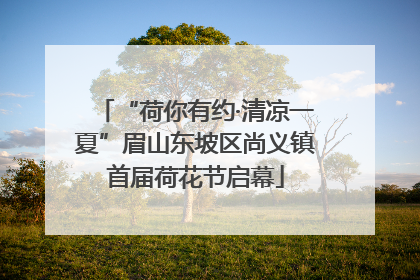 “荷你有约·清凉一夏”眉山东坡区尚义镇首届荷花节启幕