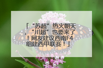 “苏超”热火朝天，“川超”也要来了！网友建议西南F4组建西甲联赛！