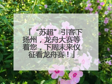 “苏超”引客下扬州，龙舟大赛等着您，下周末来仪征看龙舟赛！