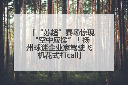 “苏超”赛场惊现 “空中应援”！扬州球迷企业家驾驶飞机花式打call