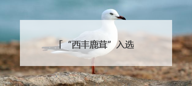 “西丰鹿茸”入选中国品牌价值榜