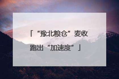 “豫北粮仓”麦收跑出“加速度”