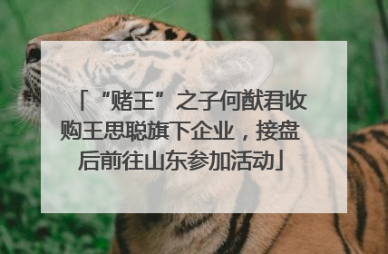 “赌王”之子何猷君收购王思聪旗下企业，接盘后前往山东参加活动