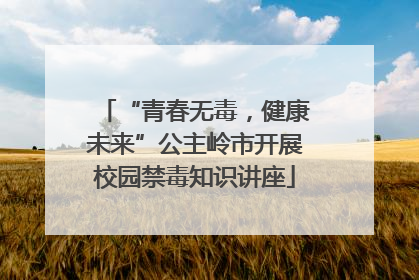 “青春无毒，健康未来”公主岭市开展校园禁毒知识讲座