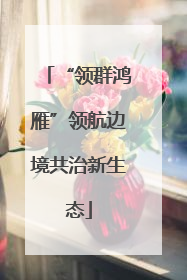 “领群鸿雁”领航边境共治新生态