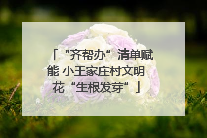 “齐帮办”清单赋能 小王家庄村文明花“生根发芽”