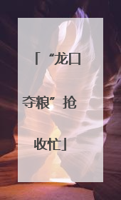 “龙口夺粮”抢收忙