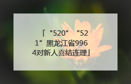 “520”“521”黑龙江省9964对新人喜结连理