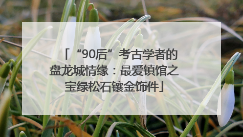 “90后”考古学者的盘龙城情缘：最爱镇馆之宝绿松石镶金饰件