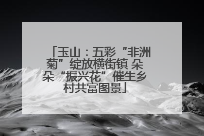 玉山：五彩“非洲菊”绽放横街镇 朵朵“振兴花”催生乡村共富图景