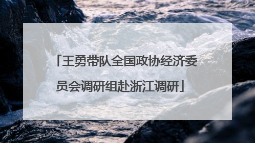 王勇带队全国政协经济委员会调研组赴浙江调研