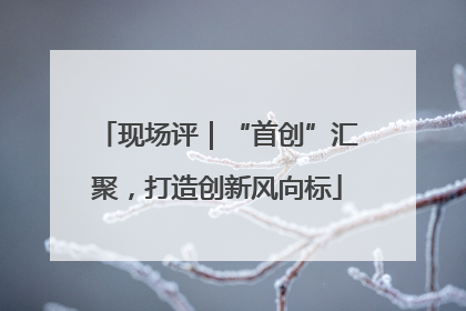 现场评｜“首创”汇聚，打造创新风向标