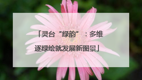 灵台“绿韵”：多维逐绿绘就发展新图景