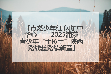 点燃少年红 闪耀中华心——2025浦莎青少年“手拉手”陕西路线丝路续新章