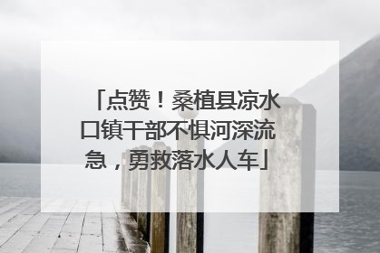 点赞！桑植县凉水口镇干部不惧河深流急，勇救落水人车