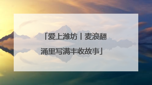 爱上潍坊丨麦浪翻涌里写满丰收故事