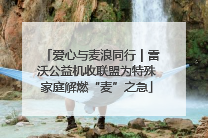 爱心与麦浪同行｜雷沃公益机收联盟为特殊家庭解燃“麦”之急