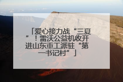 爱心接力战“三夏”！雷沃公益机收开进山东重工派驻“第一书记村”