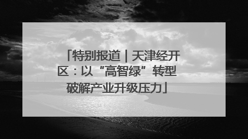 特别报道｜天津经开区：以“高智绿”转型破解产业升级压力