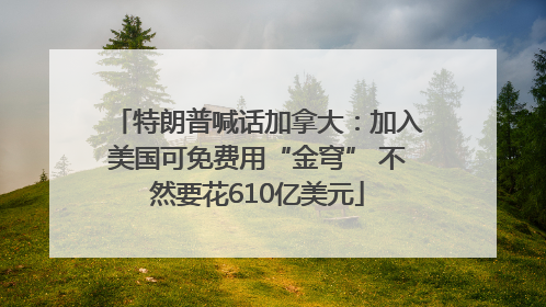 特朗普喊话加拿大：加入美国可免费用“金穹” 不然要花610亿美元