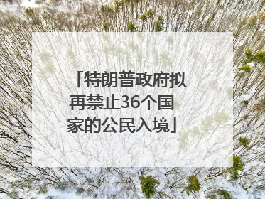特朗普政府拟再禁止36个国家的公民入境