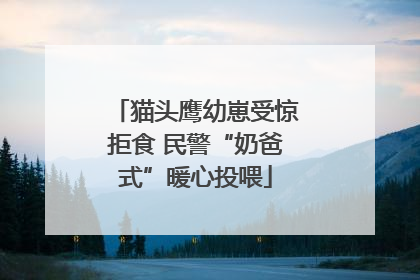 猫头鹰幼崽受惊拒食 民警“奶爸式”暖心投喂