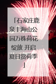 石家庄鹿泉丨海山公园万株荷花绽放 开启夏日赏荷季