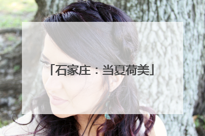 石家庄：当夏荷美
