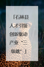 石林县人才引领创新驱动产业“三级跳”