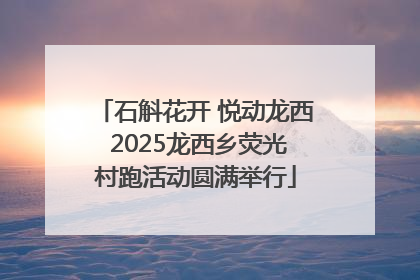 石斛花开 悦动龙西 2025龙西乡荧光村跑活动圆满举行