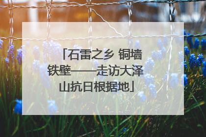 石雷之乡 铜墙铁壁——走访大泽山抗日根据地