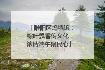 睢阳区坞墙镇：粽叶飘香传文化 浓情端午聚民心