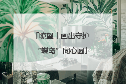 瞭望丨画出守护“蝶岛”同心圆