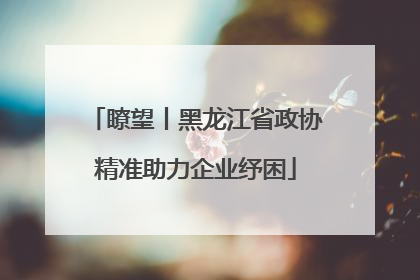 瞭望丨黑龙江省政协精准助力企业纾困