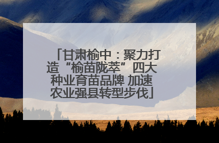 甘肃榆中：聚力打造“榆苗陇萃”四大种业育苗品牌 加速农业强县转型步伐