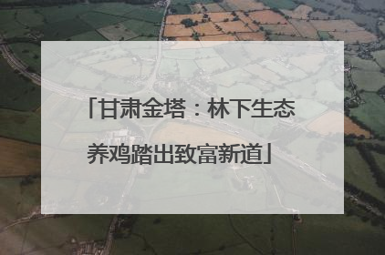 甘肃金塔：林下生态养鸡踏出致富新道