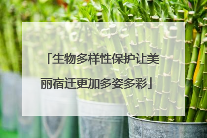 生物多样性保护让美丽宿迁更加多姿多彩