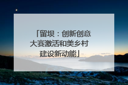 留坝：创新创意大赛激活和美乡村建设新动能