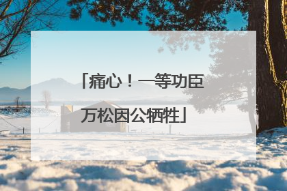 痛心！一等功臣万松因公牺牲