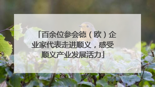 百余位参会德（欧）企业家代表走进顺义，感受顺义产业发展活力