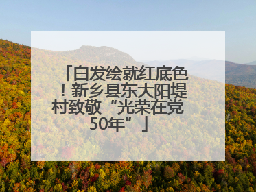 白发绘就红底色！新乡县东大阳堤村致敬“光荣在党50年”