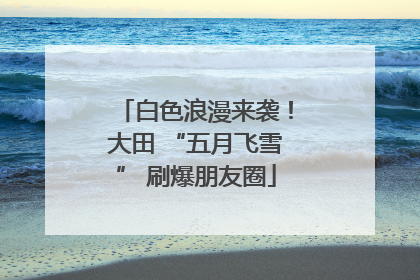 白色浪漫来袭！大田 “五月飞雪” 刷爆朋友圈