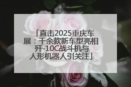 直击2025重庆车展：千余款新车型亮相 歼-10C战斗机与人形机器人引关注