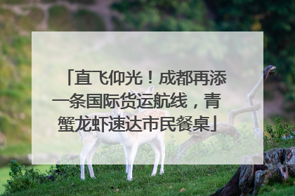 直飞仰光！成都再添一条国际货运航线，青蟹龙虾速达市民餐桌