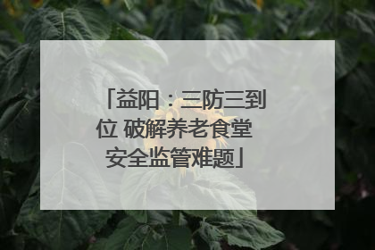 益阳：三防三到位 破解养老食堂安全监管难题