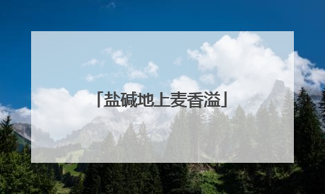 盐碱地上麦香溢