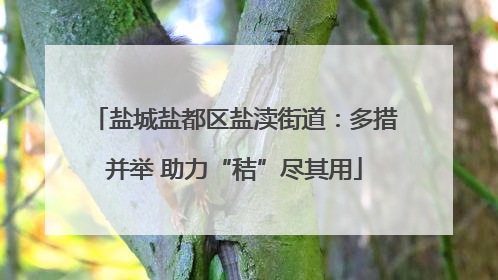 盐城盐都区盐渎街道：多措并举 助力“秸”尽其用