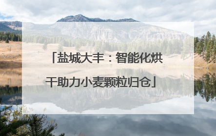 盐城大丰：智能化烘干助力小麦颗粒归仓